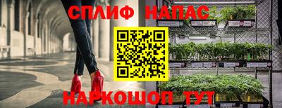 ешки Кингисепп