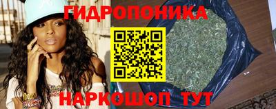 ешки Кингисепп