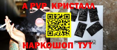 ешки Кингисепп