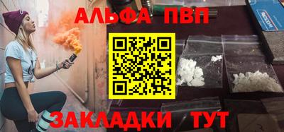 ешки Кингисепп