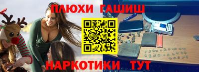 ешки Кингисепп