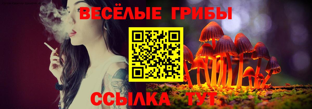 Псилоцибиновые грибы Psilocybine cubensis  Вход с VPN  купить наркотики сайты  Корсаков 